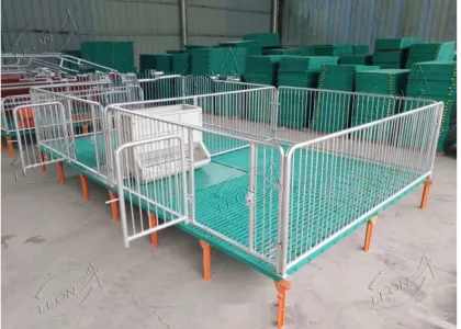Optimized Pig Farming Equipment and Technology