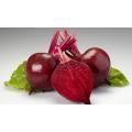 Purifying The Blood Natural Beetroot Extract Powder