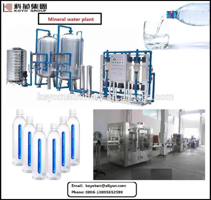 mineral water plant machinery cost