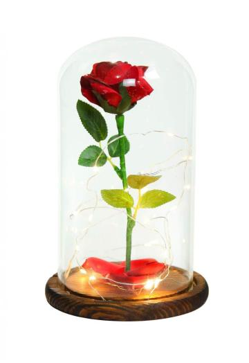 Glass Dome Flower Display With Wooden Base