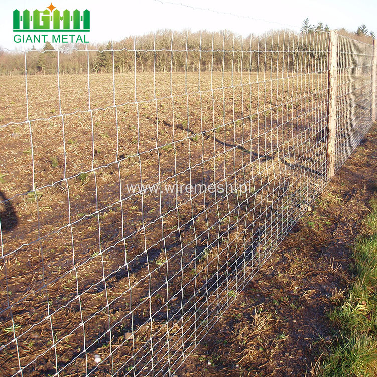 Cheaper Metal Galvanized Field Farm Fence