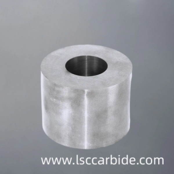 Precise And Consist Carbide Die Mold