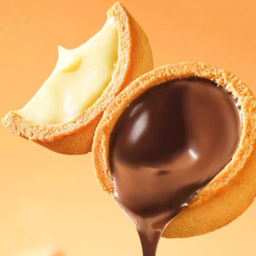 Gusu Customized Biscuit Processing Machine for Chocolate Center Filling