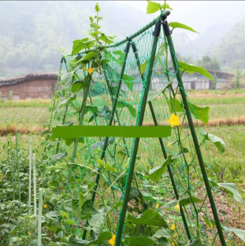 19mm Hole HDPE Plastic Anti-Bird Netting for Garden & Agriculture - Durable Mesh with Cutting Service