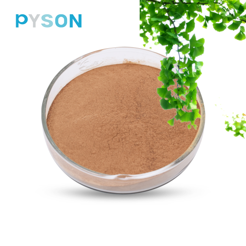 Ginkgo Biloba Leaf Extract Ginko flavones