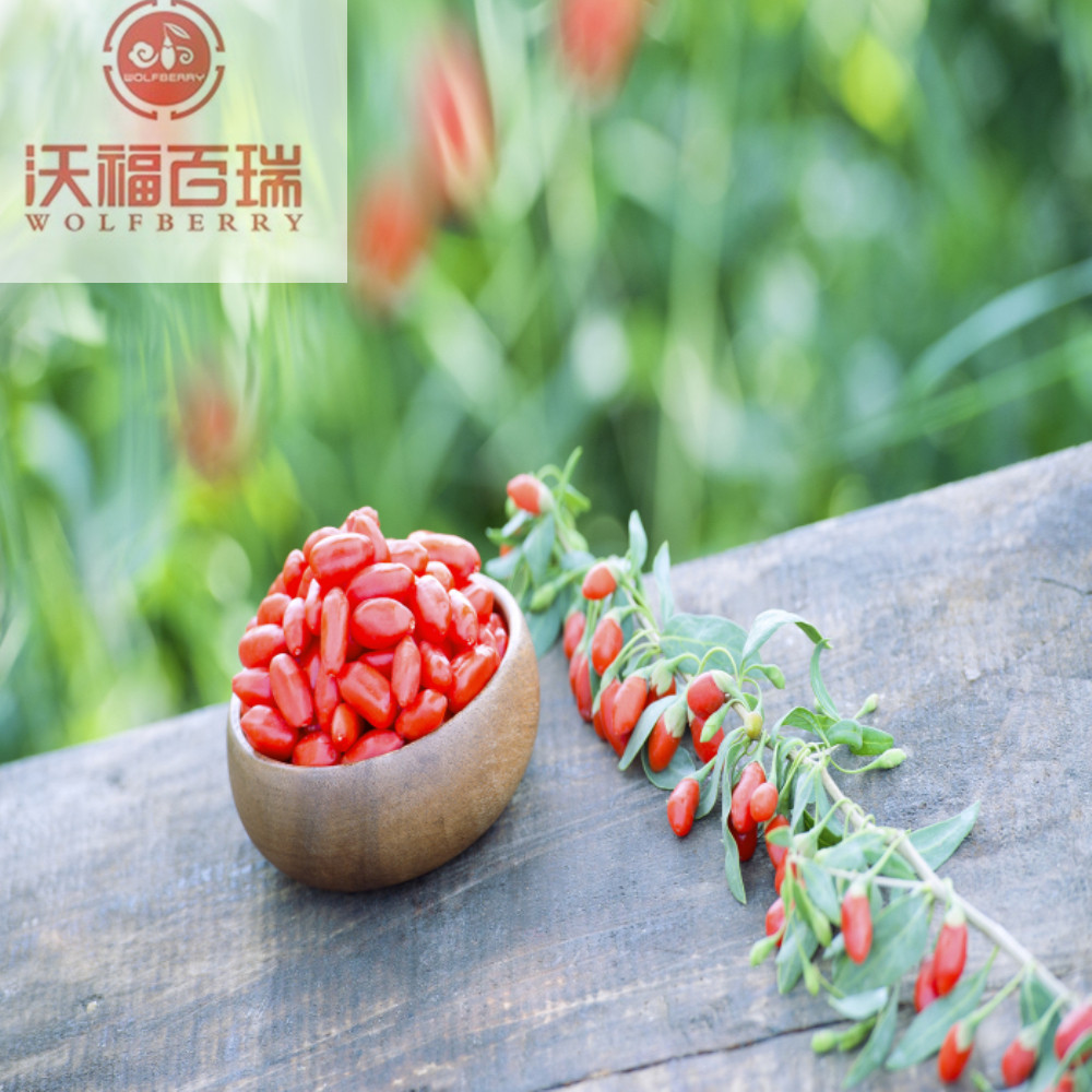 Goji berry / Wolfberry / Quả goji được chứng nhận