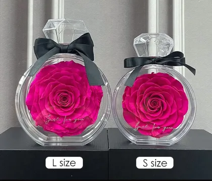 Eternal Roses Wholesale: Decorative Preserved Roses in Acrylic Bottles