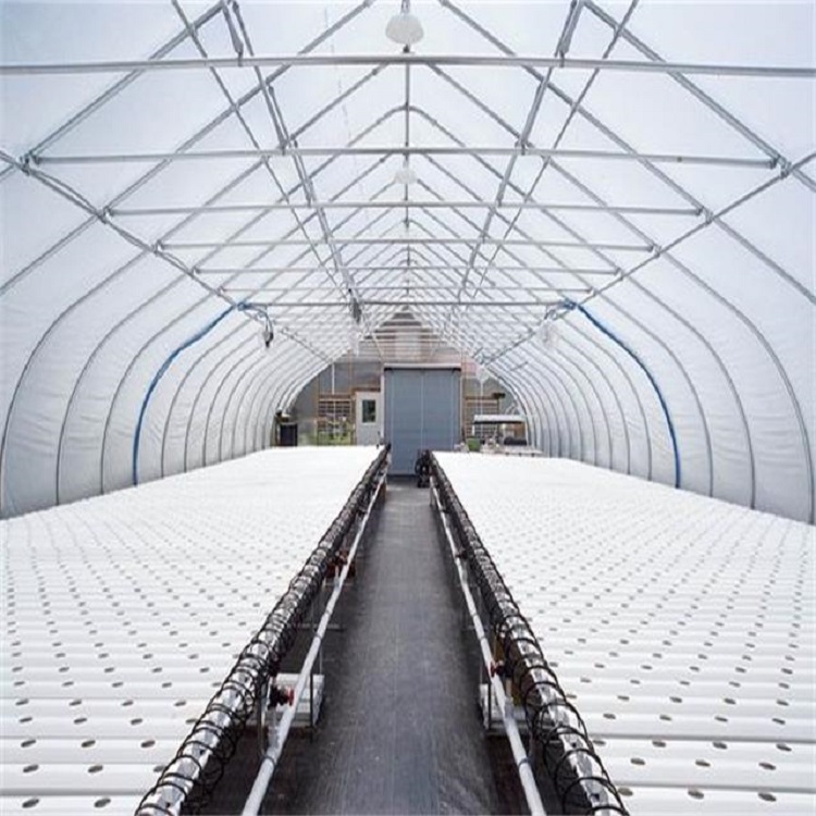 Agricultural-Greenhouse-Flat-Hydroponics-commercial-hydroponics