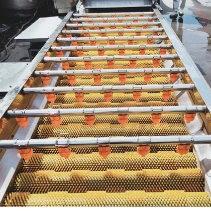 Automatic Vegetable and Fruit Peeling and Washing Machine