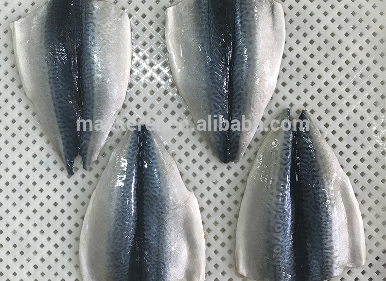 Chinese Frozen Fish Mackerel Flaps Mackerel Fillets