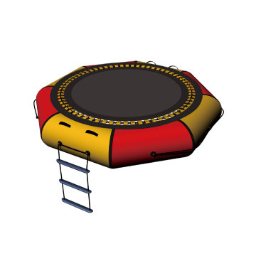 10ft Water Jumping Bed Sea Water Trampoline - Customized Inflatable for Kids and Adults