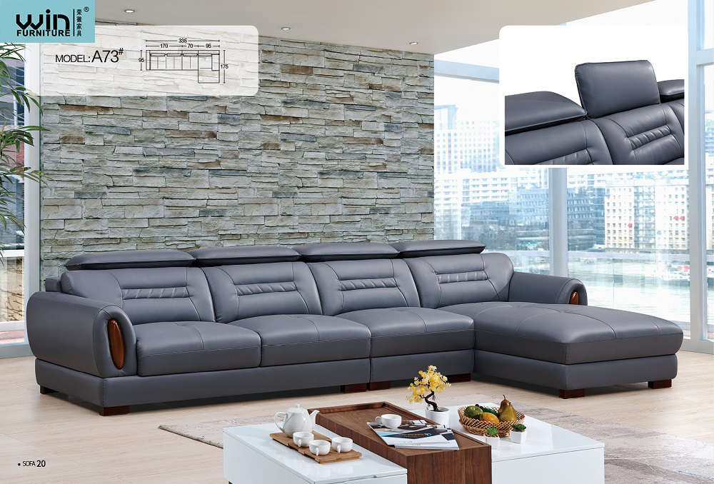 Living Room Sofa