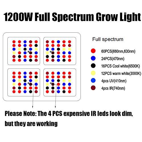 300W Led Grow Lights untuk Tanaman Medis Hortikultura