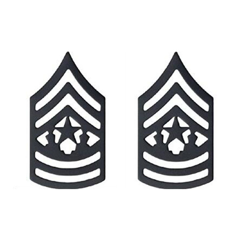 Master Sergeant Pin