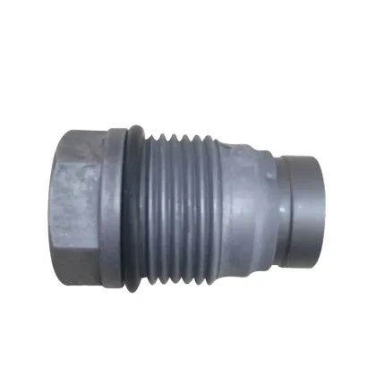 Dong Feng Valve Parts: High-Quality Rail Pressure Limiting Valve 1110010028