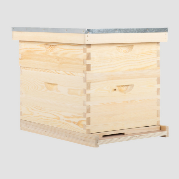 2020 Factory directly 2 to 7 layers OEM pine red cedar wooden bee hive box langstroth beehive