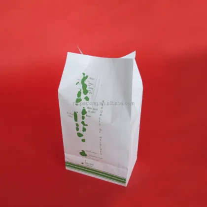 Air Travel Health Supplies: Sick Bag Essentials