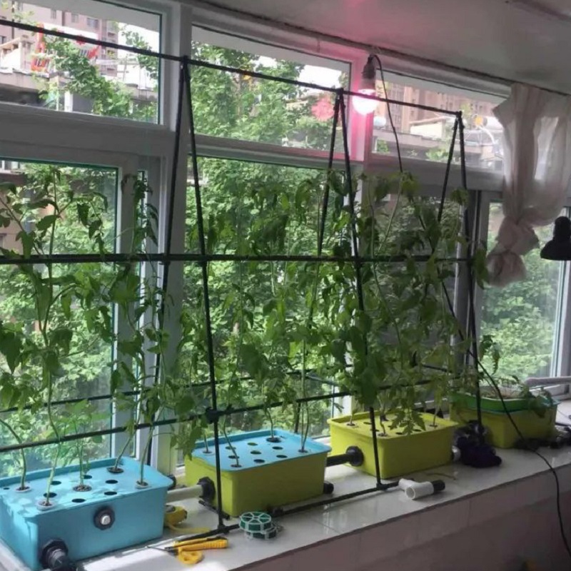 hydroponic grow box