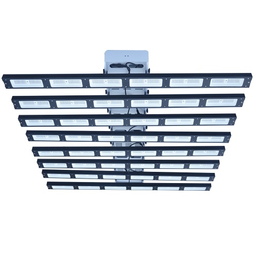 Best Grow Light vegetable