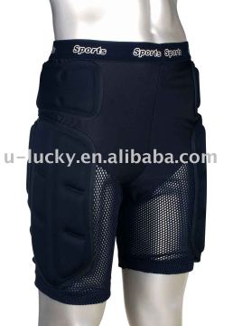 Motorcycle protector