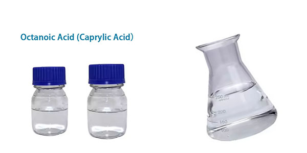 caprylic acid supplement