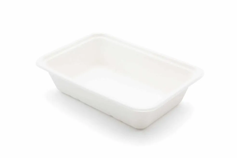 sugarcane bagasse bowl