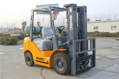2.5T Gas Forklift New Gasoline Lifting Equipment