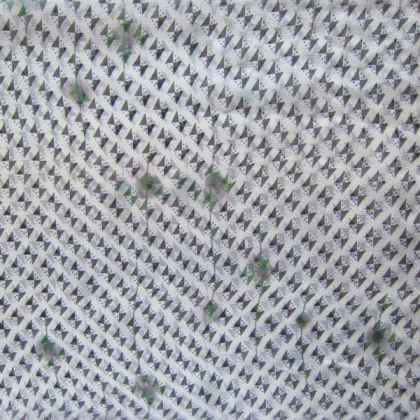 Factory Supply Screen Printed Silk Voile,Silk Company Fabrics Xili Yarn