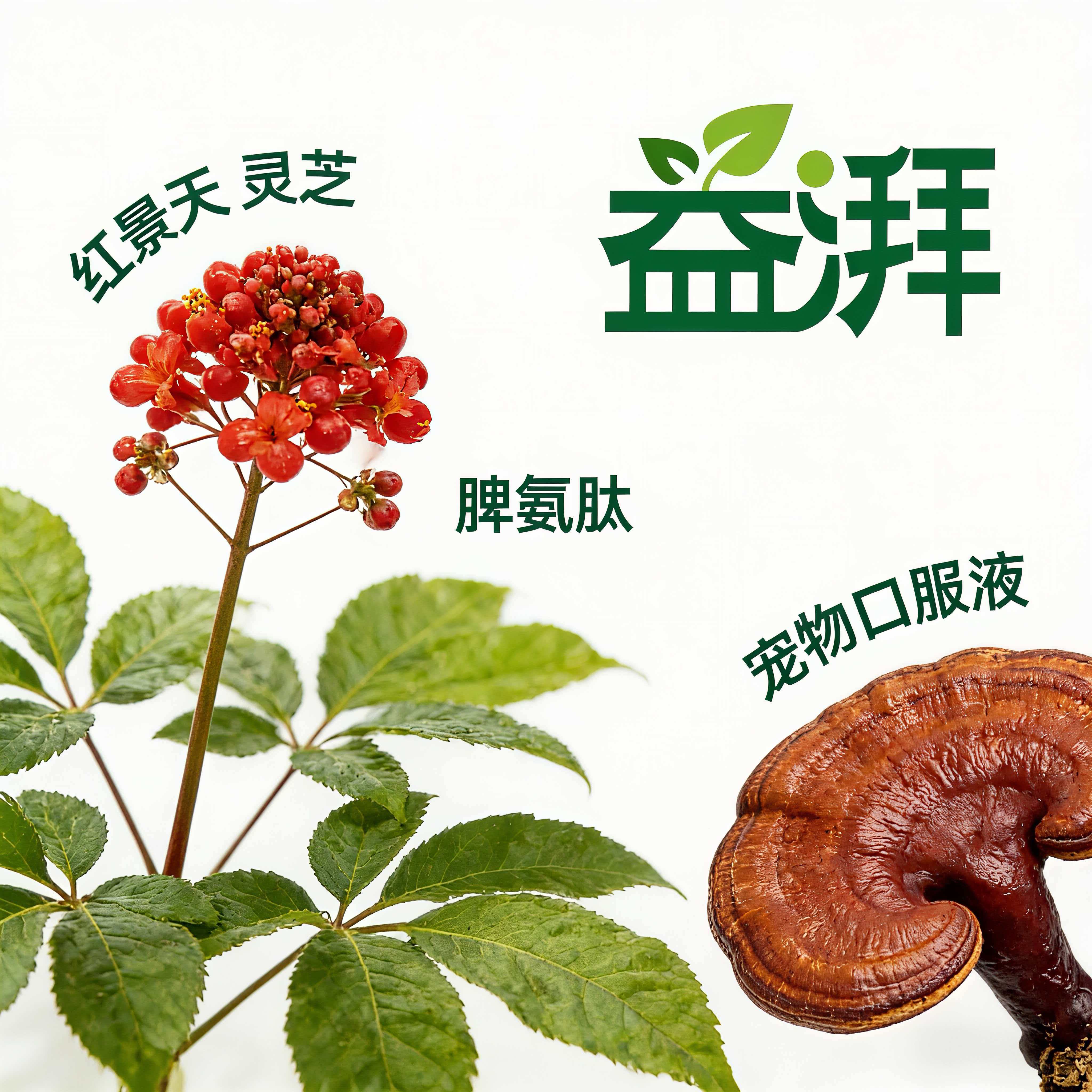 peptide-based pet health supplement