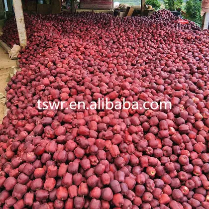high quality sweet fruit red fuji apple