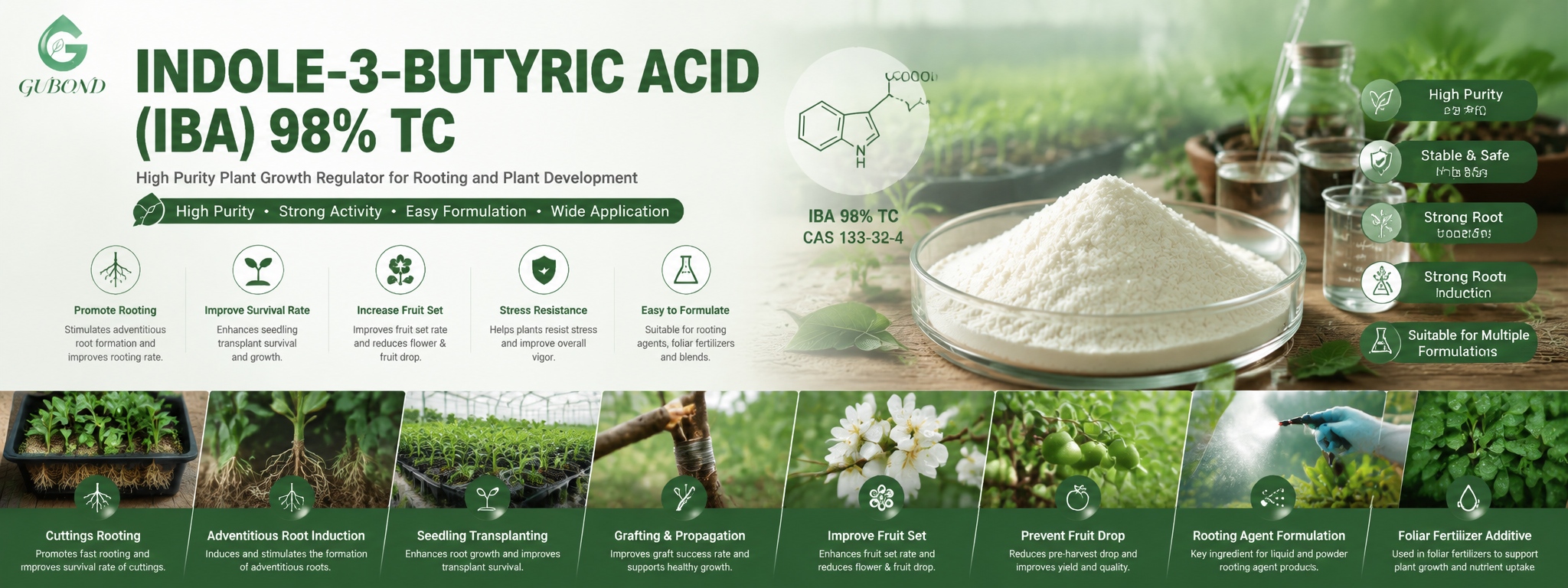 Indole-3-Butyric Acid (5)