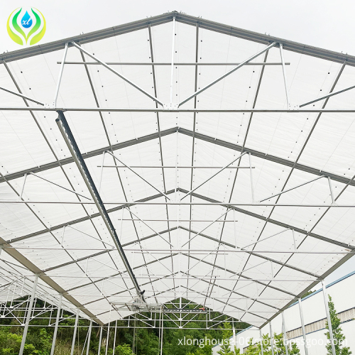 Custom Retractable Metal Frame Greenhouse for Planting from China