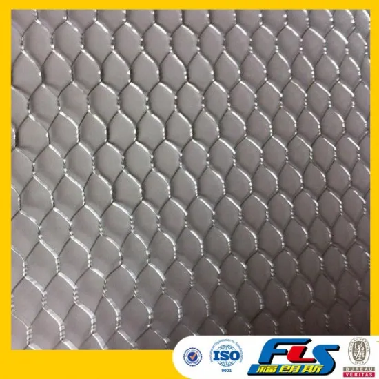 Lowest Price Stucco Hexagonal Wire Netting (Chicken Wire) for Stucco Applications