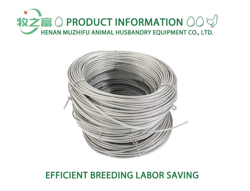 Galvanized Steel Wire Rope x