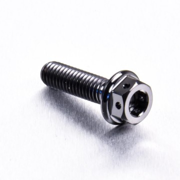 Titanium Metric Bolts for Bicycle