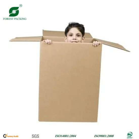 CORRUGATED PAPER BOX