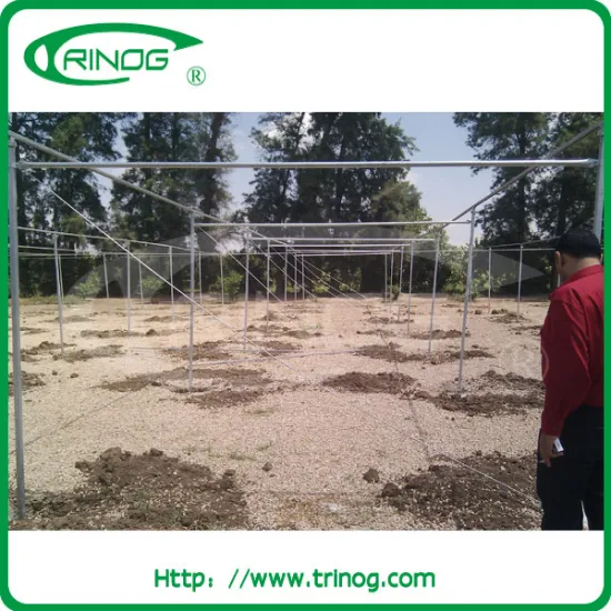 greenhouse shade net house
