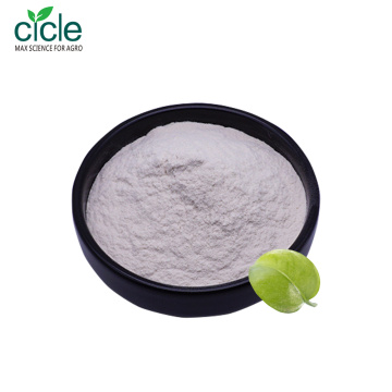 Chitosan Hydrochloride HCL Powder