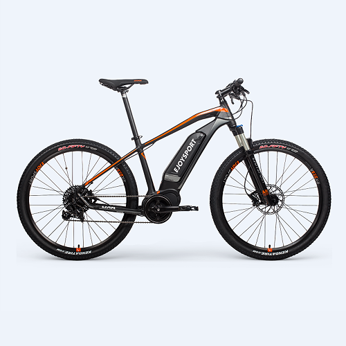 Customized E Bike