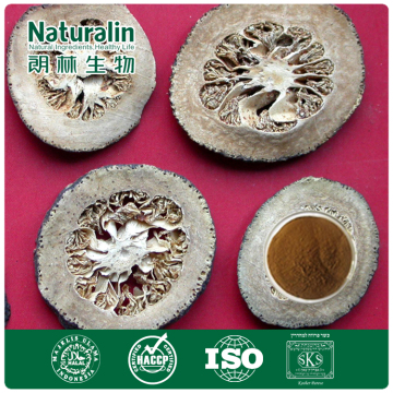 orange peel extract hesperidin/natural bitter orange extract/immature bitter orange extract powder