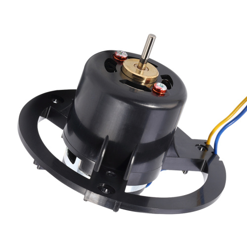 FM-36-I3CLA-CF Carbon Brush Motor - MAINTEX