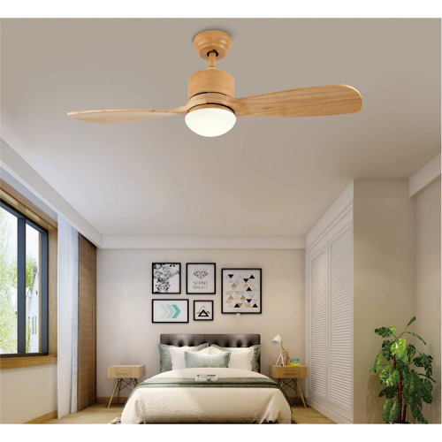 Ventilateurs de plafond uniques LEDER avec lumières