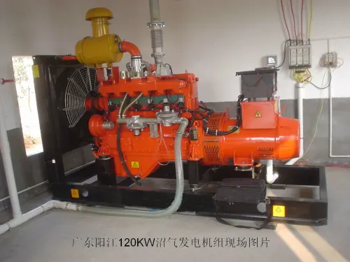 3Phase 50Hz/60Hz Cummins Diesel Generator Set