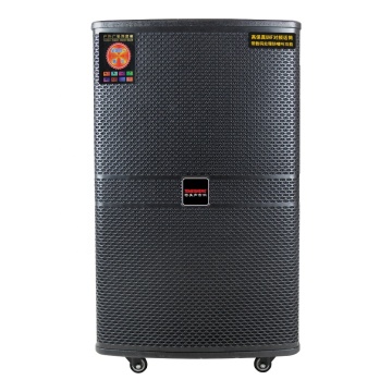 15 Inch Portable Trolley Rechargeable Speaker with MIC