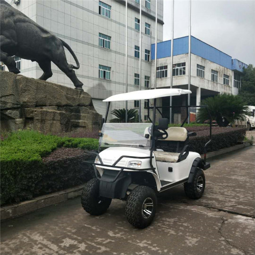 2 assentos 4WD elétrico fora do carrinho de golfe de estrada