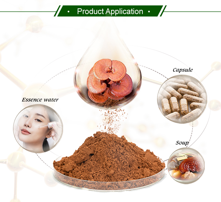 Reishi mushroom extract application