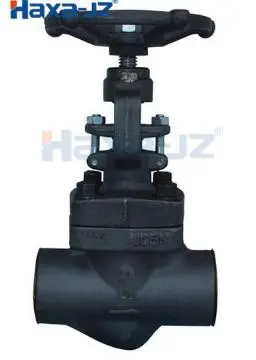 Globe Valve 800Lb