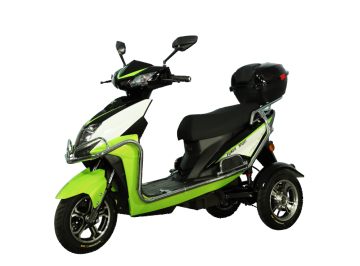 Electric Tricycle ZP208K 750W
