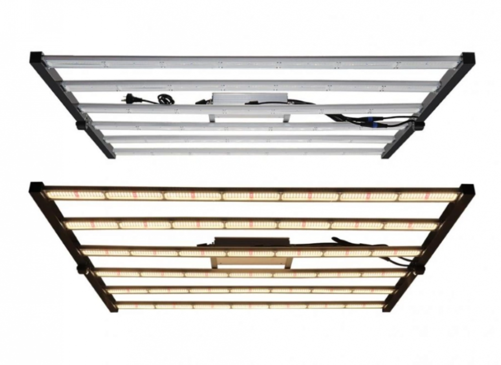 LED Grow Lights For Low Light