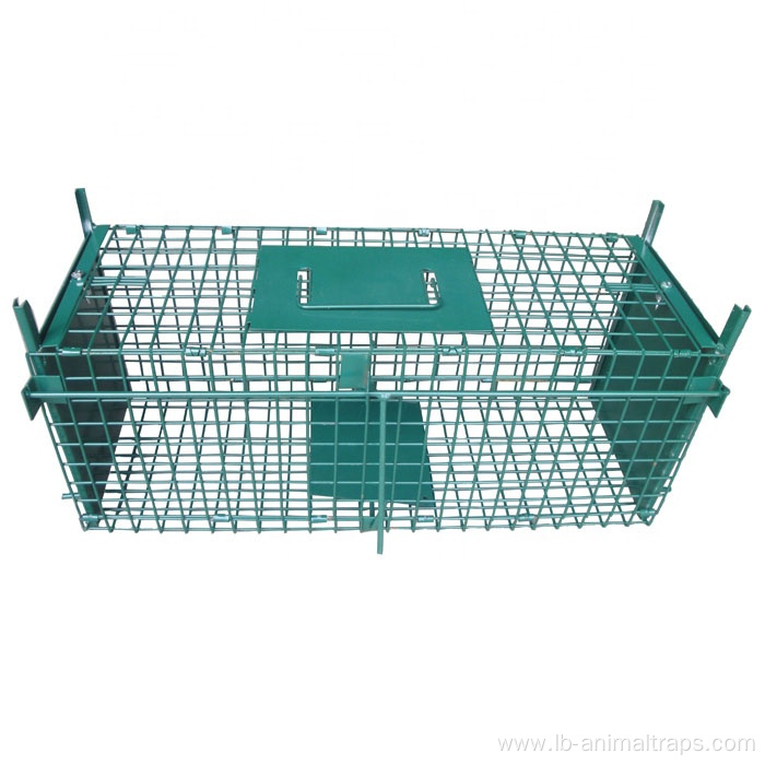 Collapsible Double Doors Pest Animal Trap Cages